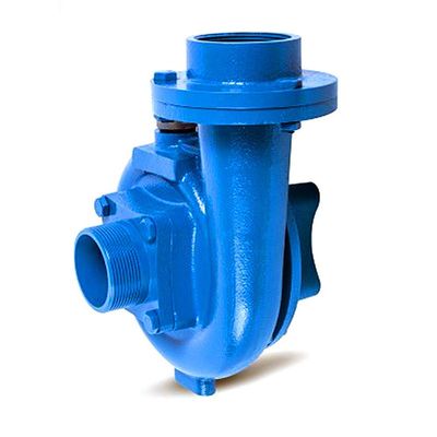 품질  Family houses DACHENG DCT-20 2.2kW 3hp 2 inch electric centrifugal water pump agriculture pumps 공장